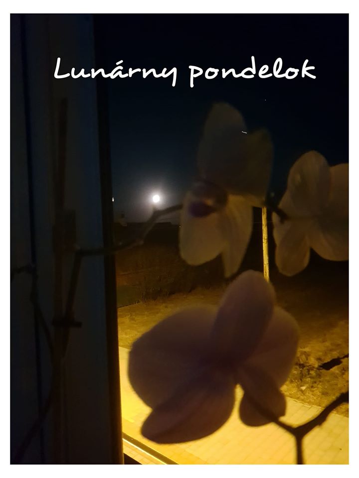 Intro Image