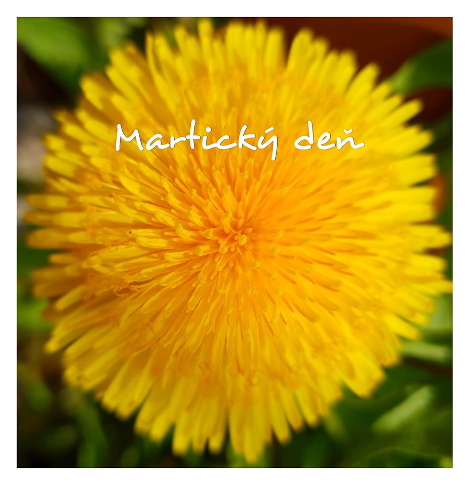 Intro Image