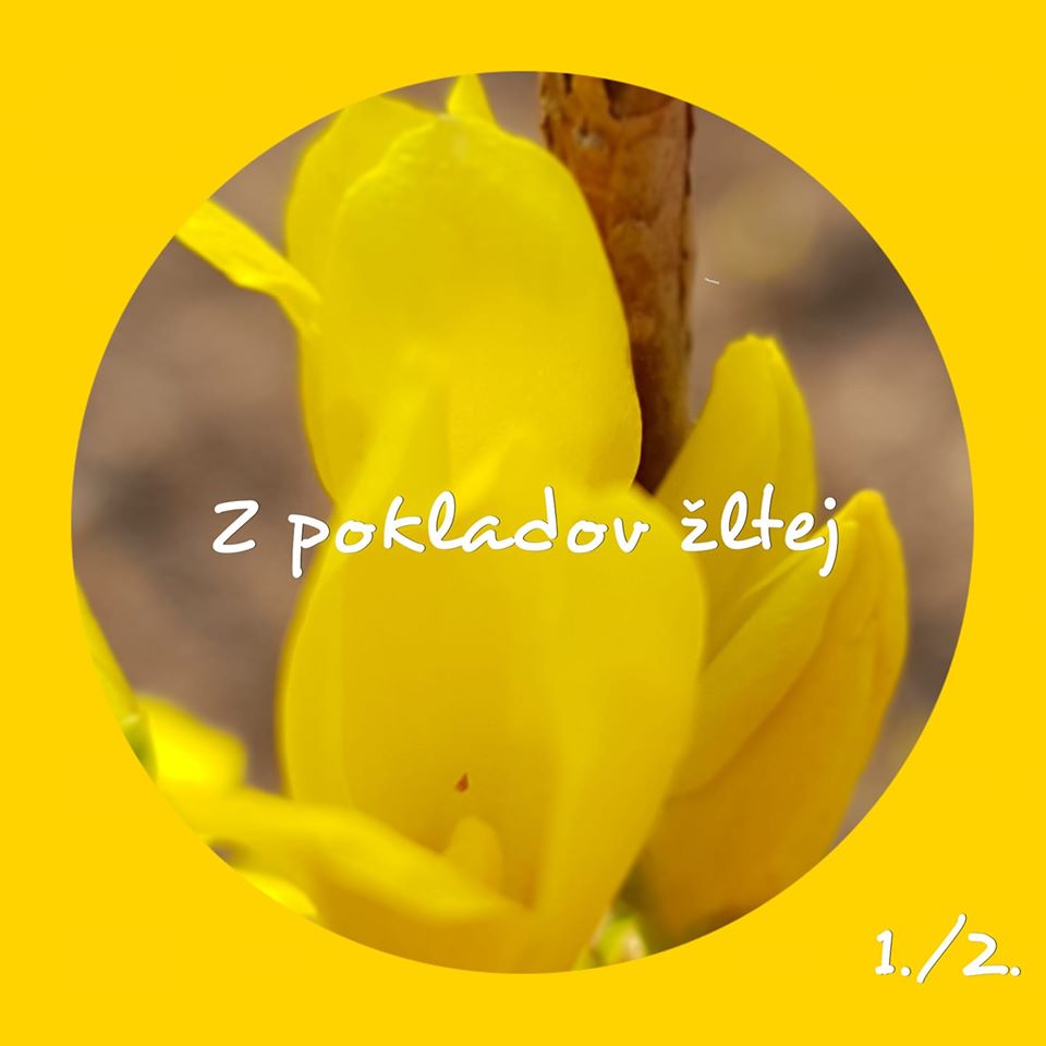 Intro Image